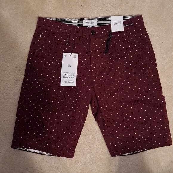 Cactus Man Tiny Polka Dots Stretch Shorts - Picture 1 of 5